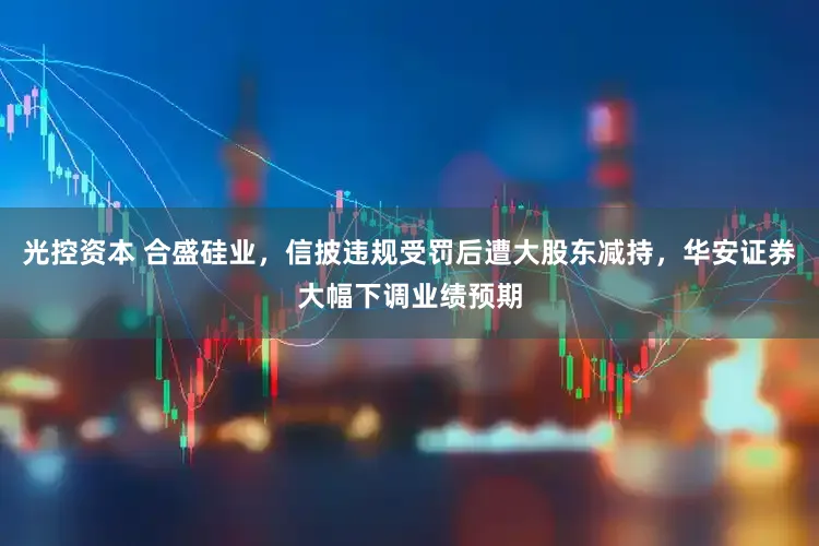 光控资本 合盛硅业，信披违规受罚后遭大股东减持，华安证券大幅下调业绩预期