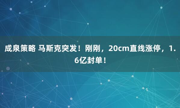 成泉策略 马斯克突发！刚刚，20cm直线涨停，1.6亿封单！