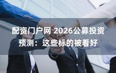 配资门户网 2026公募投资预测：这些标的被看好