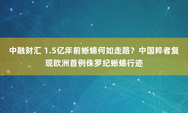 中融财汇 1.5亿年前蜥蜴何如走路？中国粹者复现欧洲首例侏罗纪蜥蜴行迹