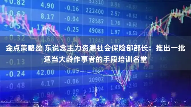 金点策略盈 东说念主力资源社会保险部部长：推出一批适当大龄作事者的手段培训名堂
