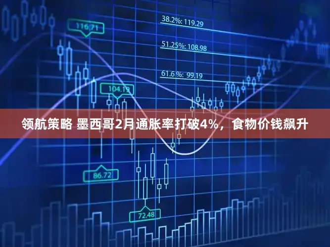 领航策略 墨西哥2月通胀率打破4%，食物价钱飙升