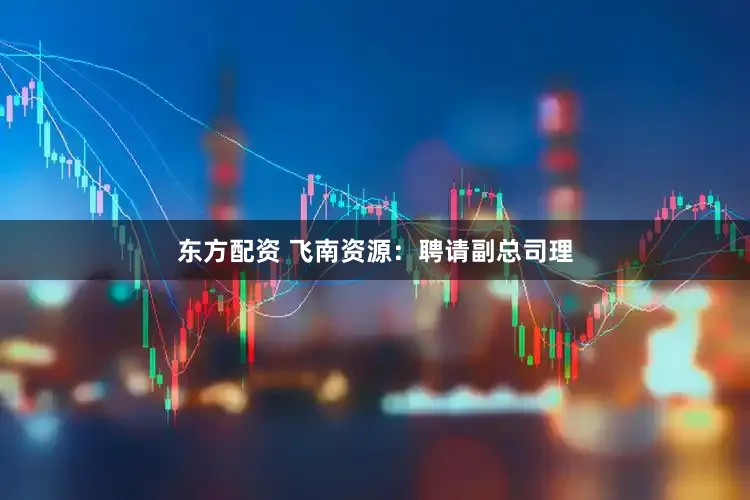 东方配资 飞南资源：聘请副总司理