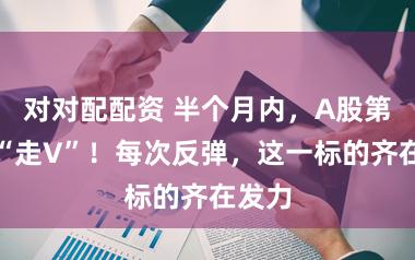 对对配配资 半个月内，A股第三次“走V”！每次反弹，这一标的齐在发力