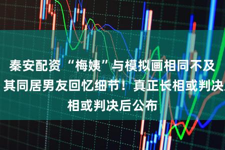 秦安配资 “梅姨”与模拟画相同不及30%？其同居男友回忆细节！真正长相或判决后公布