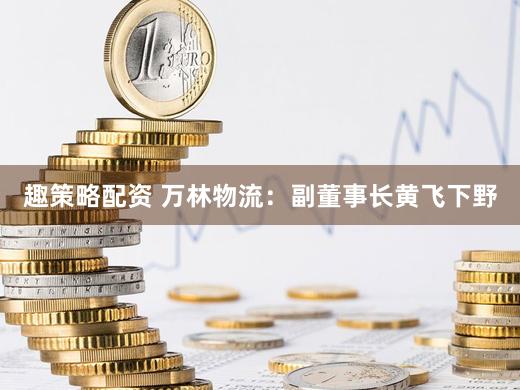 趣策略配资 万林物流:副董事长黄飞下野