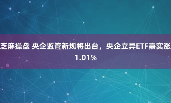 芝麻操盘 央企监管新规将出台,央企立异ETF嘉实涨1.01%