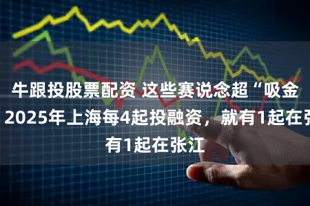 牛跟投股票配资 这些赛说念超“吸金”!2025年上海每4起投融资,就有1起在张江