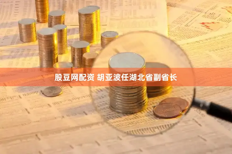 股豆网配资 胡亚波任湖北省副省长