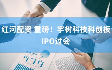 红河配资 重磅！宇树科技科创板IPO过会
